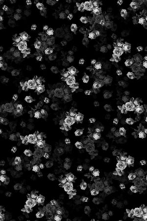 女装印花华亿平台图片