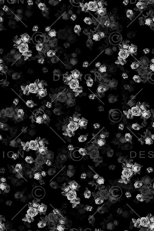 女装印花华亿平台图片