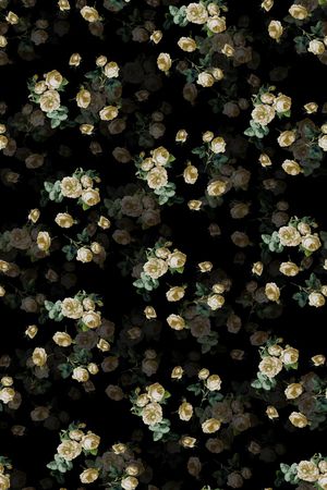 女装印花华亿平台图片