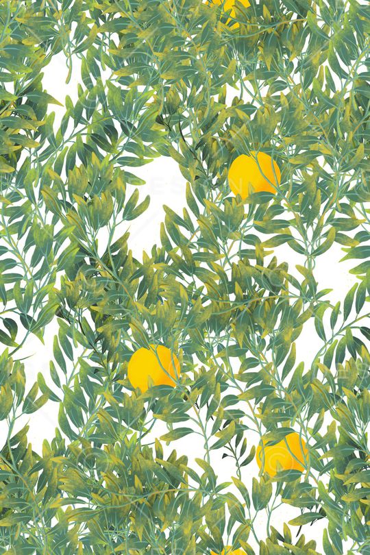 树枝印花华亿平台图片