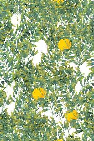 树枝印花华亿平台图片