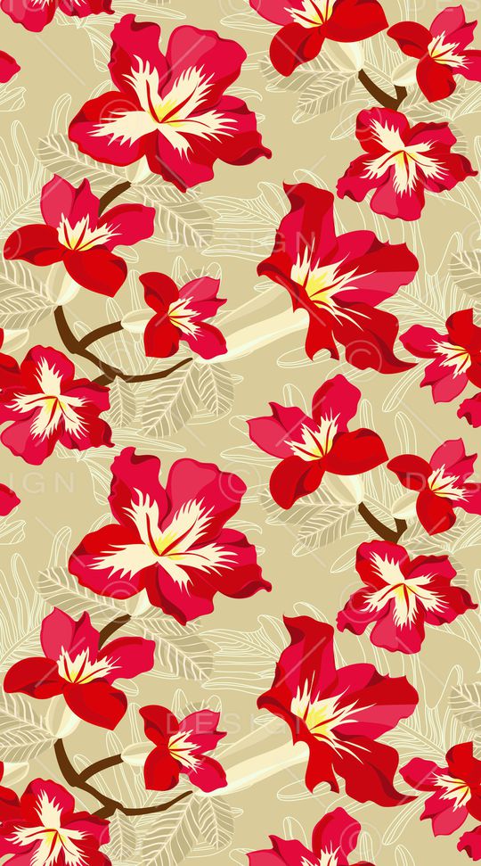 女装印花华亿平台图片