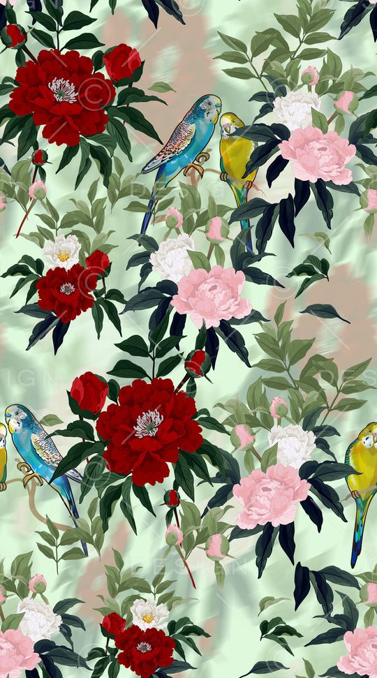 女装印花华亿平台图片