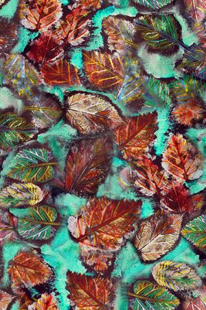 春夏华亿平台印花华亿平台图片