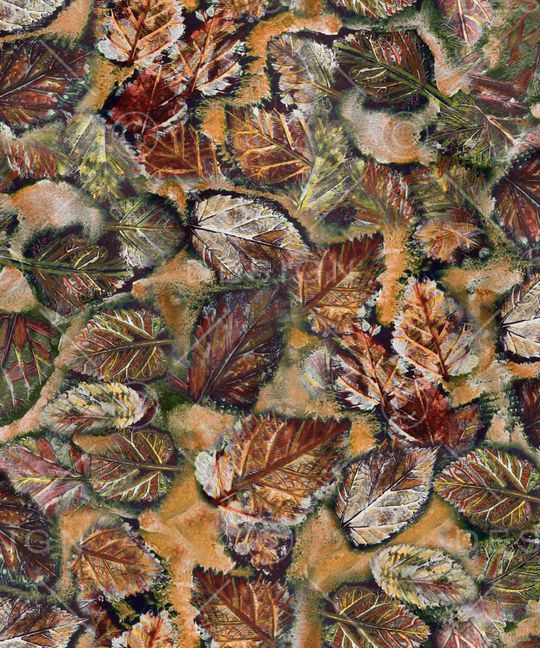 春夏华亿平台印花华亿平台图片