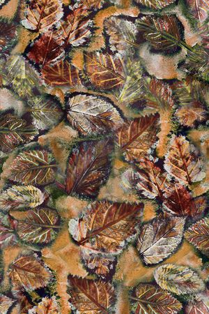 春夏华亿平台印花华亿平台图片