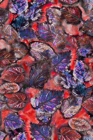 春夏华亿平台印花华亿平台图片