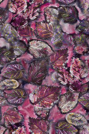 春夏华亿平台印花华亿平台图片