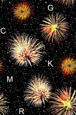 字母印花华亿平台图片