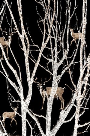 鹿印花华亿平台图片