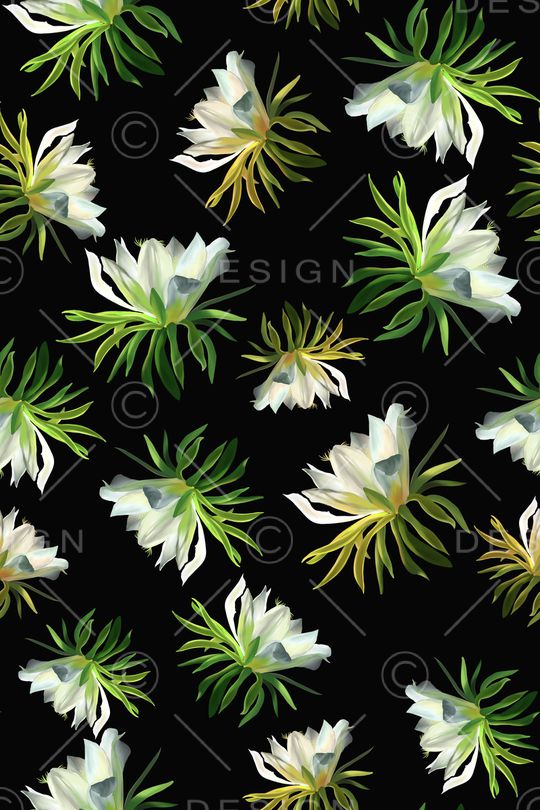 黑底春夏印花华亿平台图片