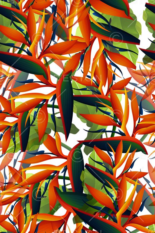 热带华亿平台印花华亿平台图片