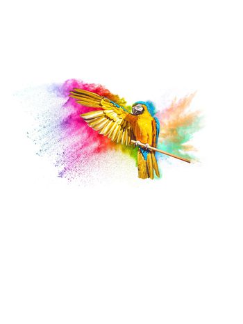 1189032-展翅潇洒鹦鹉七彩定位花卉1