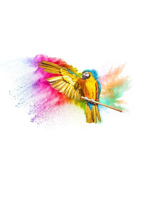 清爽底花卉印花华亿平台图片