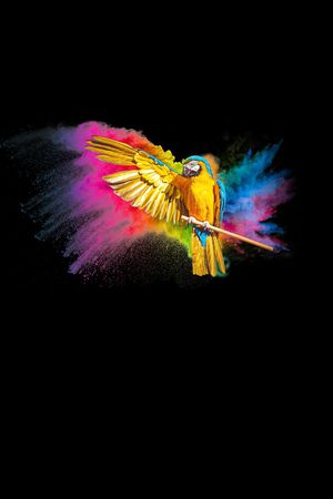 清爽底花卉印花华亿平台图片