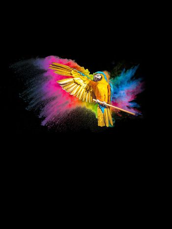 1189033-展翅潇洒鹦鹉七彩定位花卉2