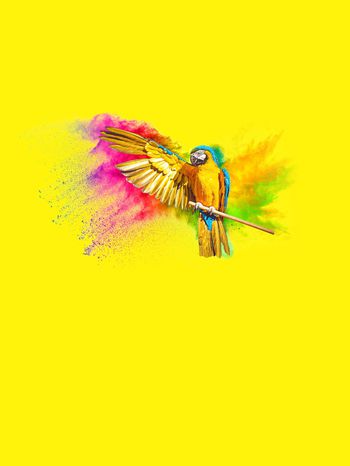 1189034-展翅潇洒鹦鹉七彩定位花卉3