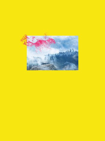 1189050-天虎下凡创意定位花卉