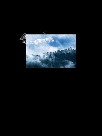 1189088-天虎下凡创意定位花卉3