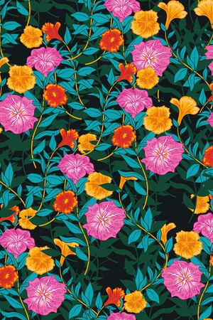 女装印花华亿平台图片