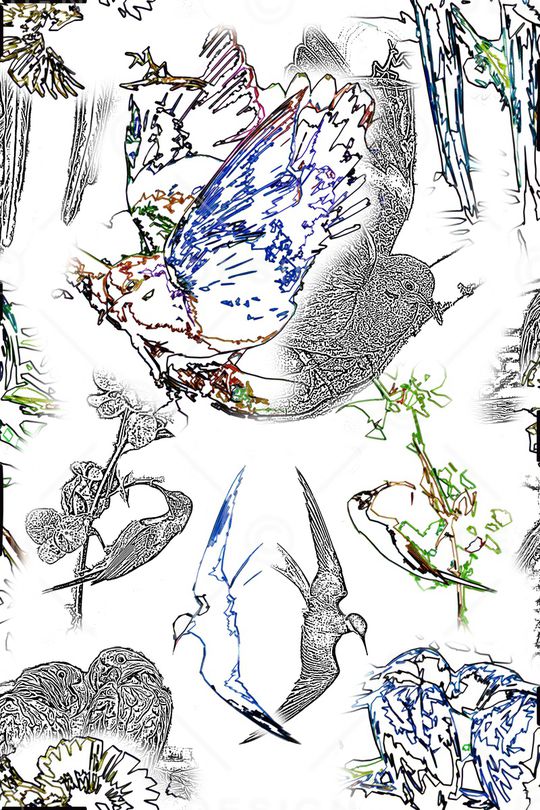 休闲印花华亿平台图片