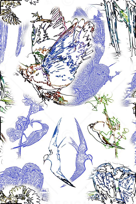 休闲印花华亿平台图片