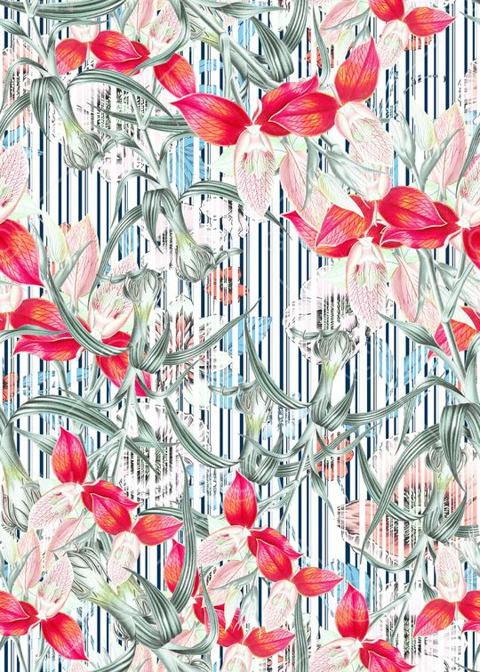 女装印花华亿平台图片