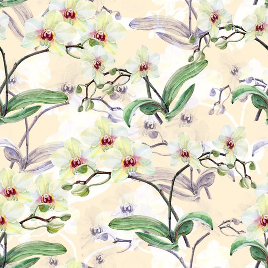 线条画印花华亿平台图片