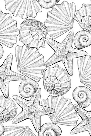 线条画印花华亿平台图片