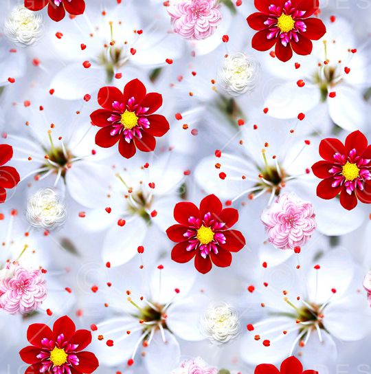 数码华亿平台印花华亿平台图片