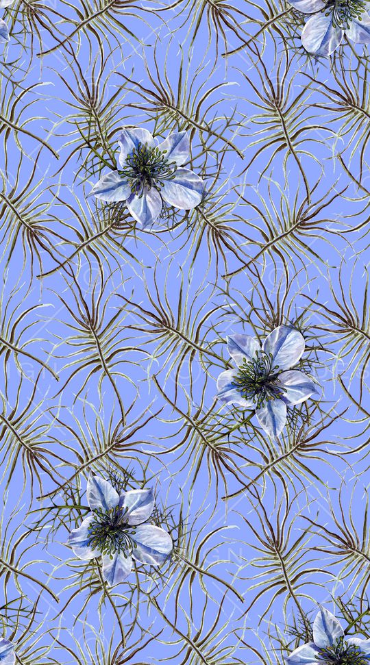 女装印花华亿平台图片