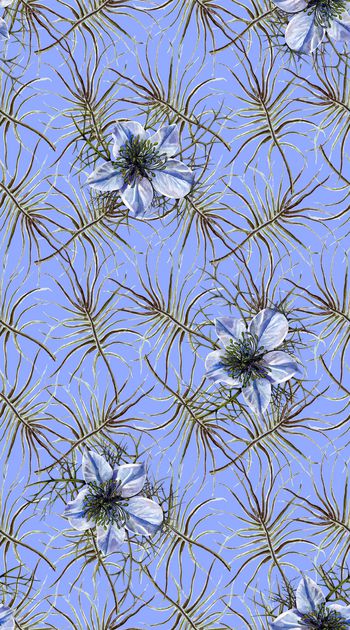 女装印花华亿平台图片