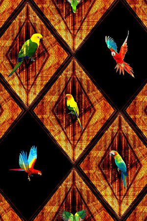 鹦鹉印花华亿平台图片