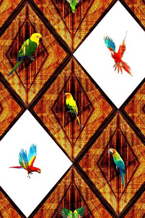 鹦鹉印花华亿平台图片