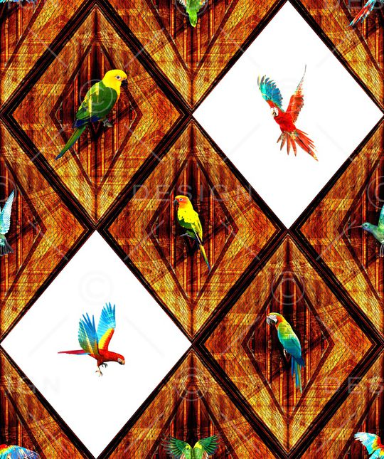 鹦鹉印花华亿平台图片