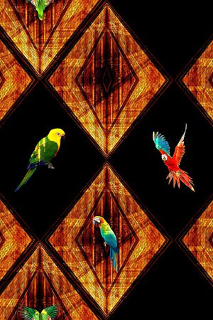 鹦鹉印花华亿平台图片