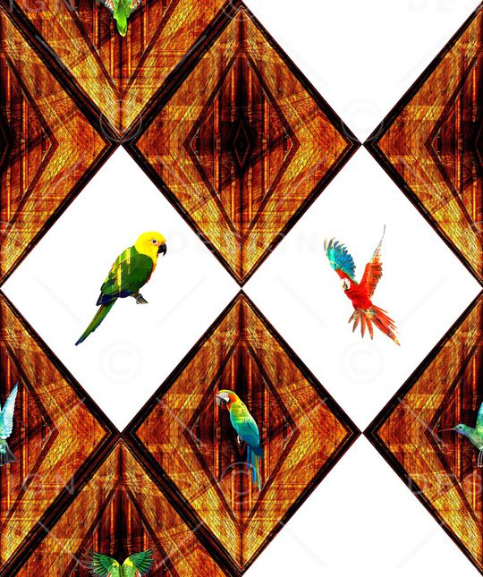 鹦鹉印花华亿平台图片