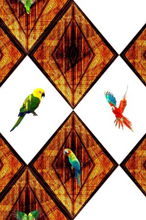 鹦鹉印花华亿平台图片