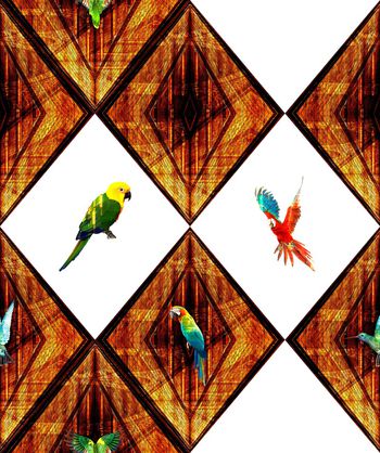 1191335-几何拼接鹦鹉花卉4