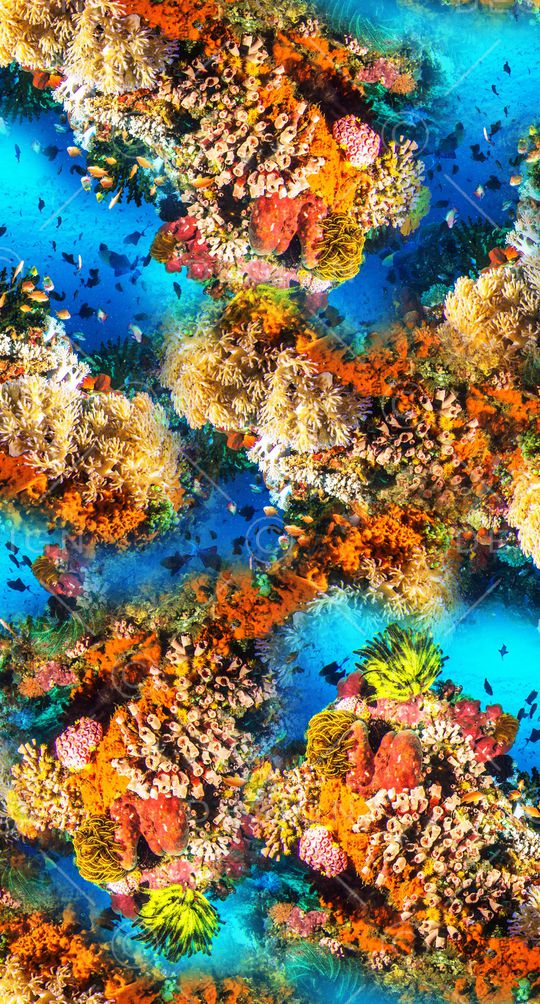 风景景观印花华亿平台图片