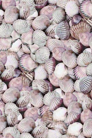 肌理印花华亿平台图片