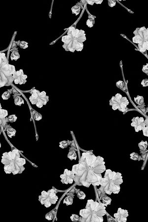 桃花印花华亿平台图片