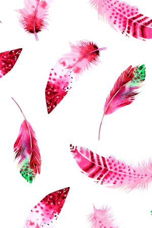 羽毛印花华亿平台图片