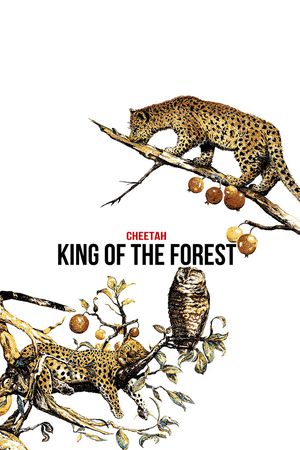 字母印花华亿平台图片