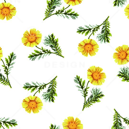 清爽底花卉印花华亿平台图片