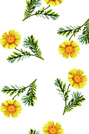 清爽底花卉印花华亿平台图片