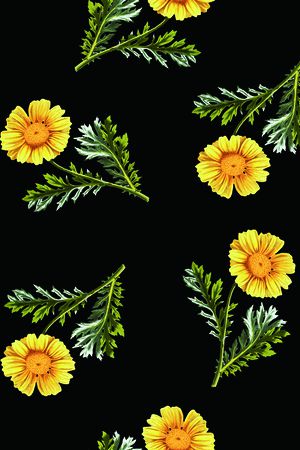 清爽底花卉印花华亿平台图片