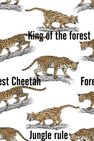 字母印花华亿平台图片