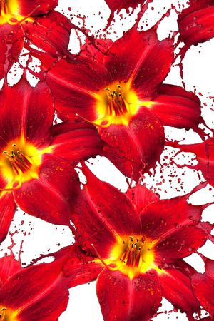 数码华亿平台印花华亿平台图片