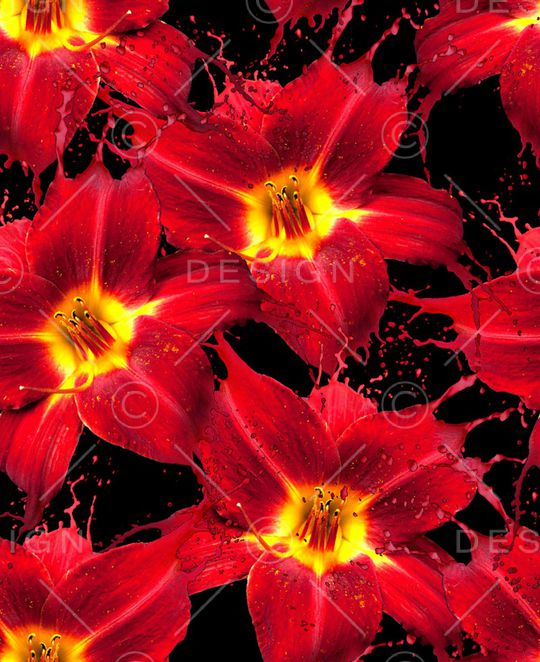 数码华亿平台印花华亿平台图片